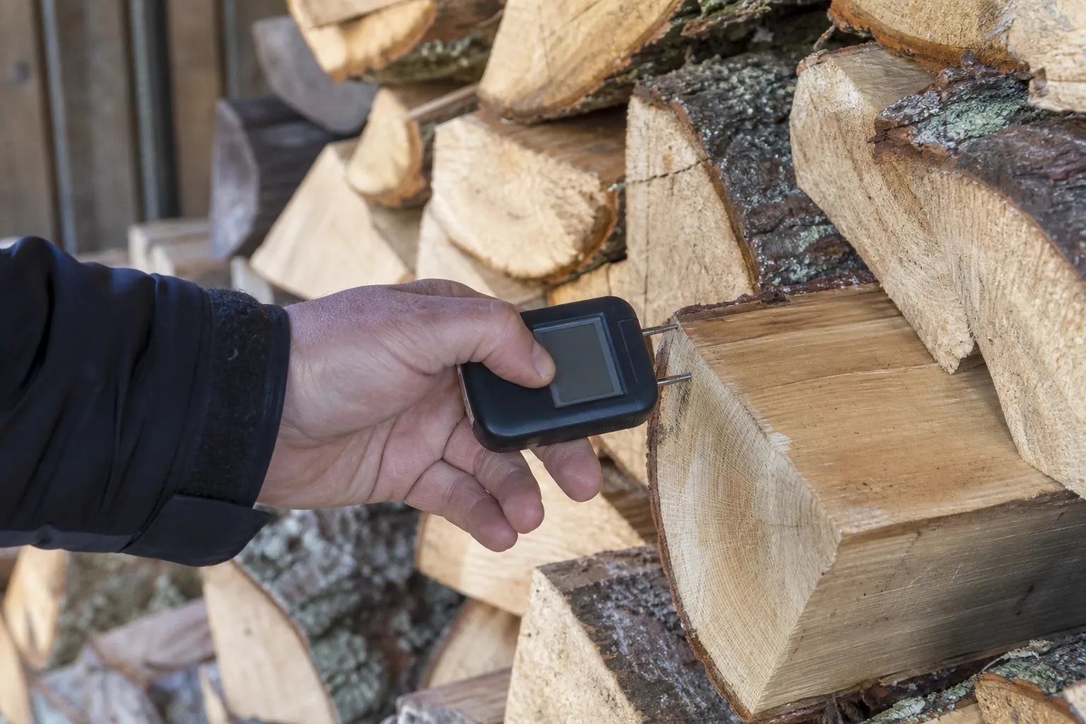 Fuktmätare mot ändträ på en nyklyvd vedklabb